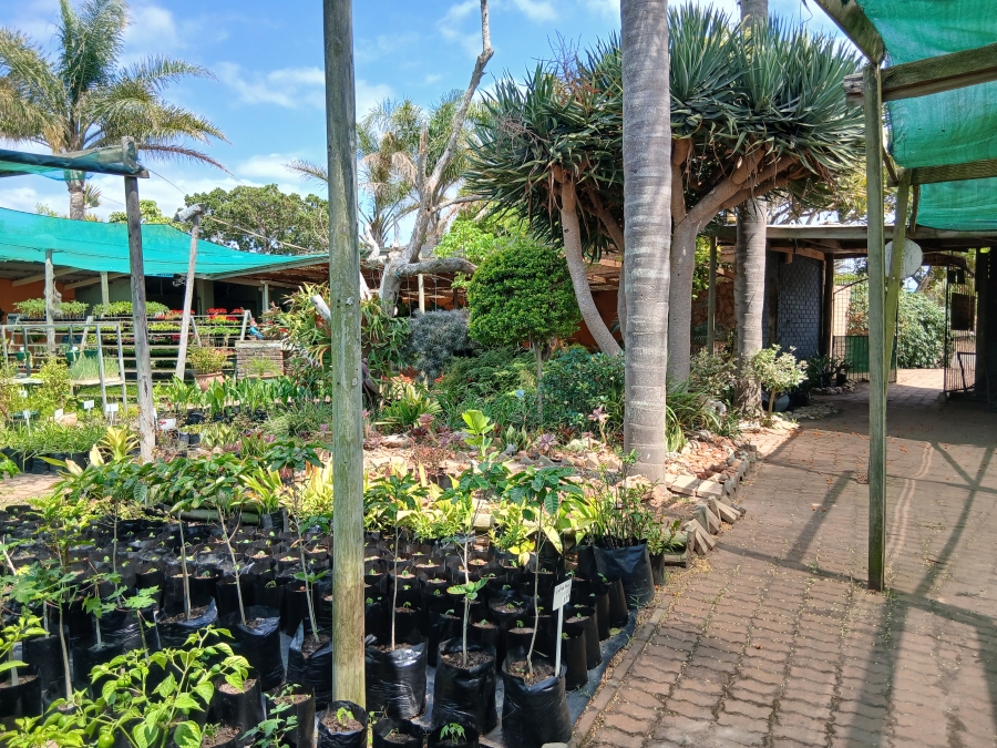 Commercial Property for Sale in C Place Eastern Cape